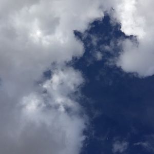 Meet your Posher, Cooper